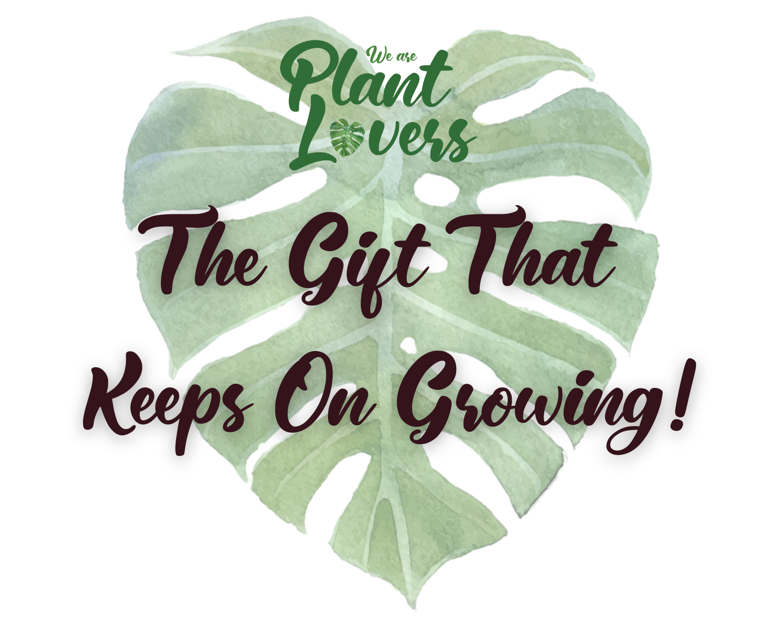 succulent lovers quotes We Are Plant Lovers Gift Card