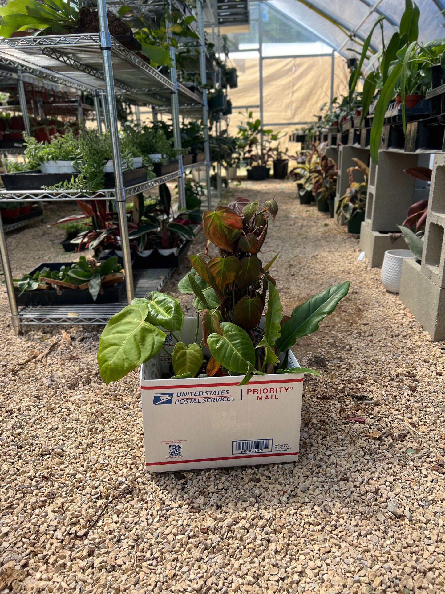 Imperfect Plant Boxes