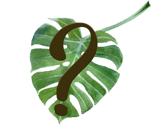 Frequently Asked Questions – We Are Plant Lovers